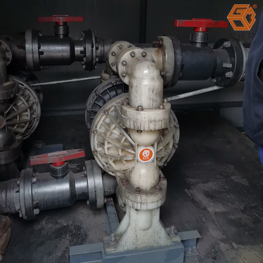 1711678701-6012.jpg 1711678701-6012.jpg