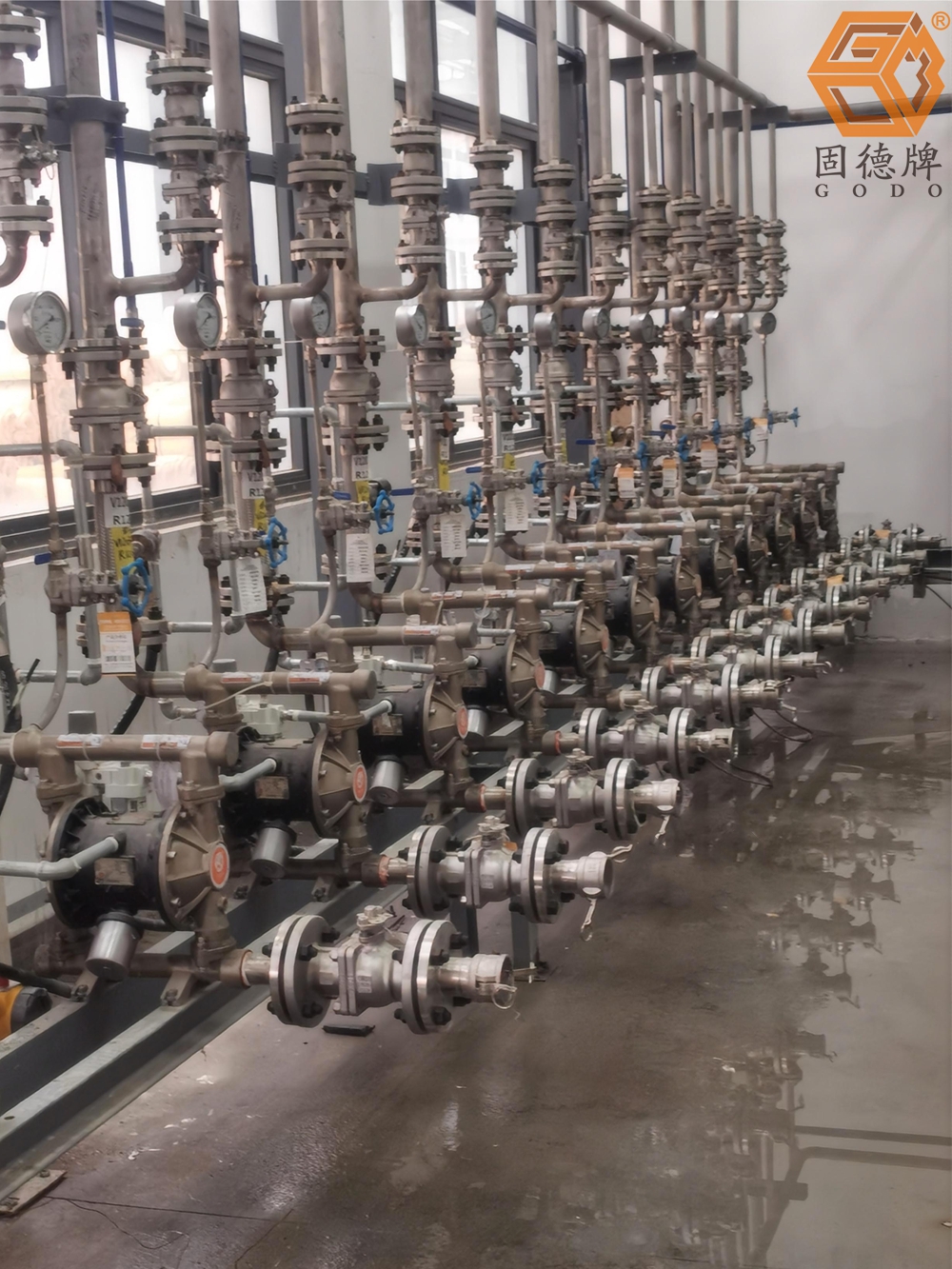 1715906784-4299.jpg 1715906784-4299.jpg