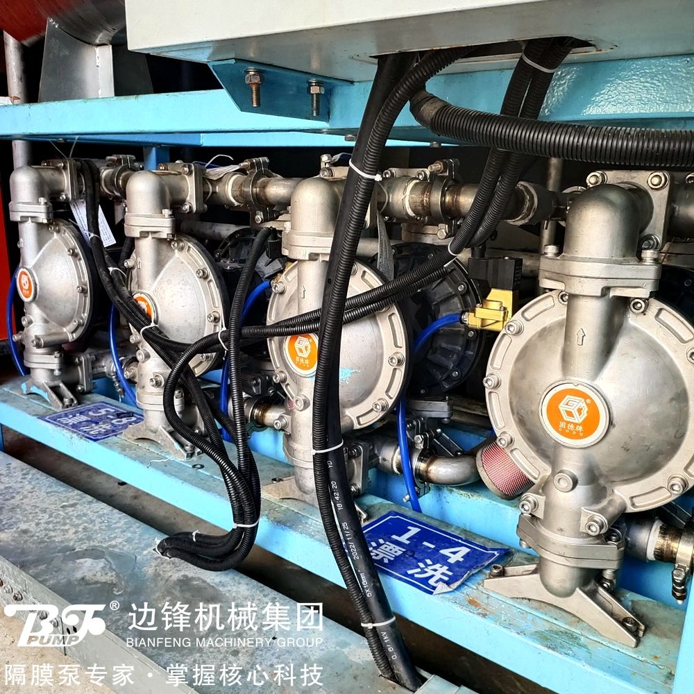 1717642138-8823.jpg 1717642138-8823.jpg