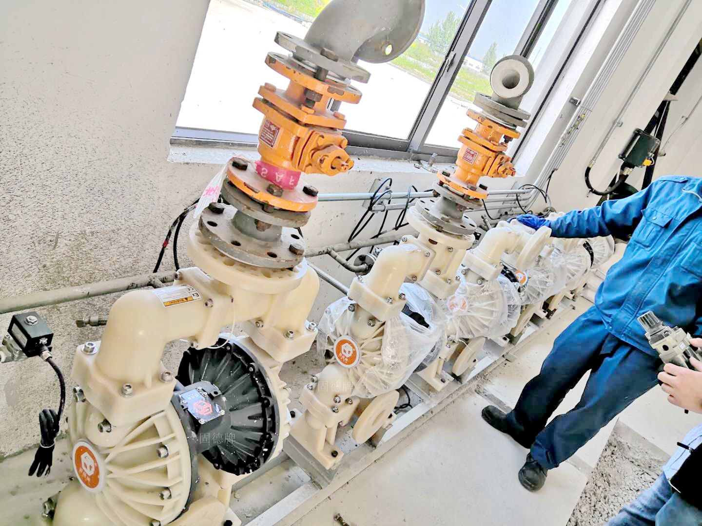 1719279642-7806.jpg 1719279642-7806.jpg