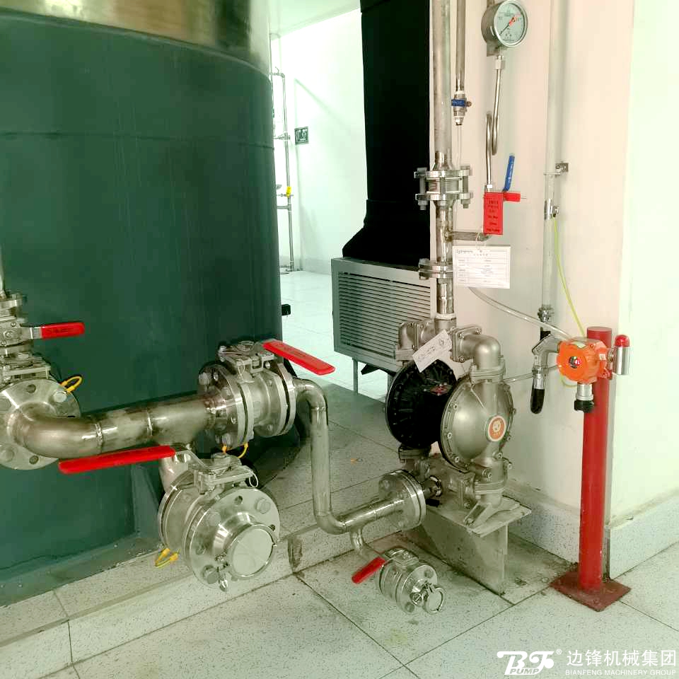 1719451546-6024.jpg 1719451546-6024.jpg