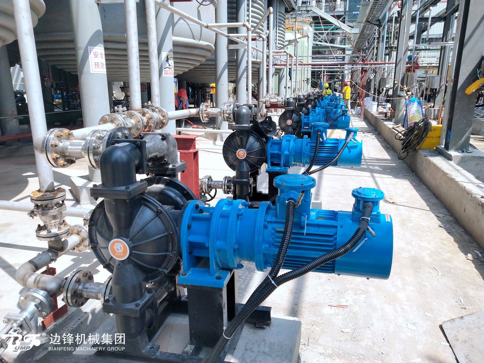 1720662928-8491.jpg 1720662928-8491.jpg