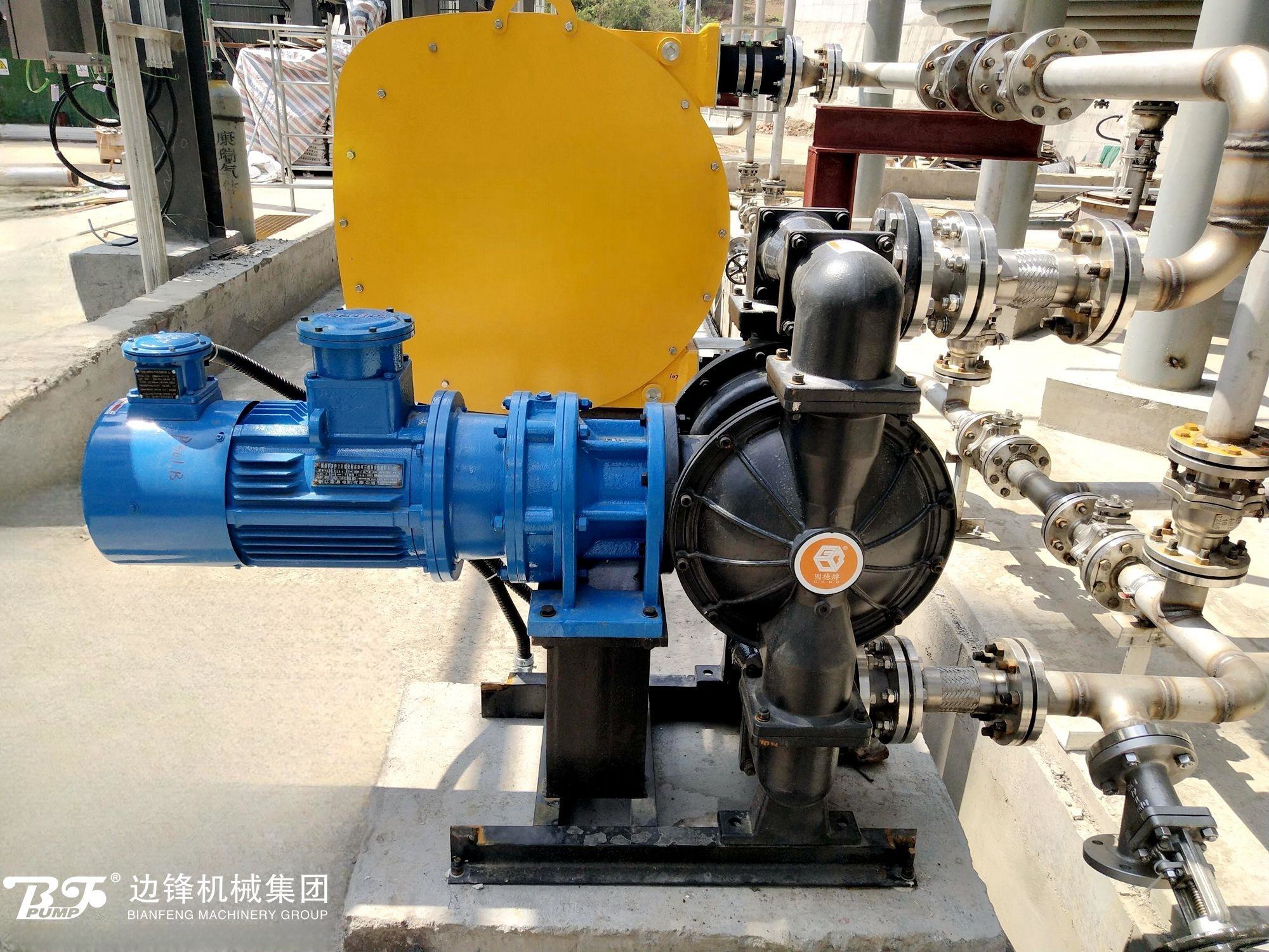 1720663346-2895.jpg 1720663346-2895.jpg